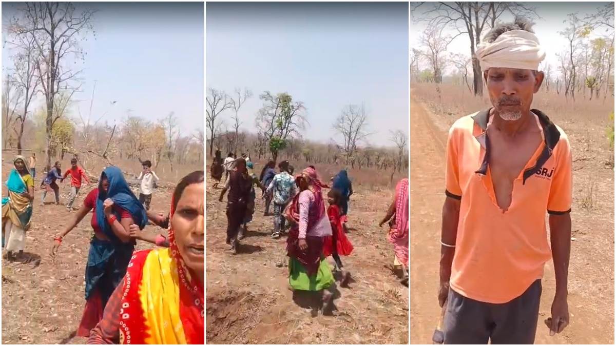 खंडवा के जंगलों में फिर शुरू हुआ कब्जा, चौकीदार को पीटकर अतिक्रमणकारी बोले- अब यहां दिखा तो मार देंगे