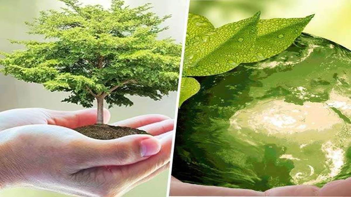 Madhya Pradesh News: मध्‍य प्रदेश में तैयार होगी पर्यावरण संरक्षक युवा ...