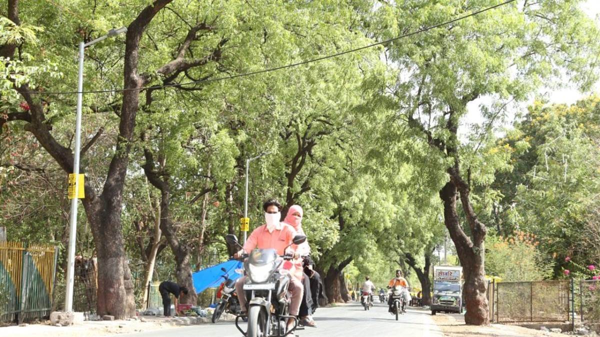 भीषण गर्मी में भट्टी की तरह तप रहा रतलाम, रेलवे कालोनी की हरियाली दे रही ठंडी राहत