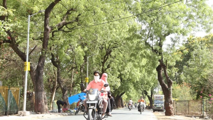 भीषण गर्मी में भट्टी की तरह तप रहा रतलाम, रेलवे कालोनी की हरियाली दे रही ठंडी राहत