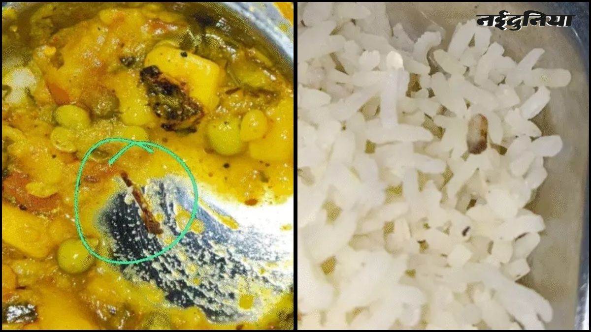 इंदौर में दूषित खाने से 20 से अधिक छात्राएं बीमार, लिवर तक पहुंचा संक्रमण, खाने में मिले कॉकरोच और सिगरेट के टुकड़े
