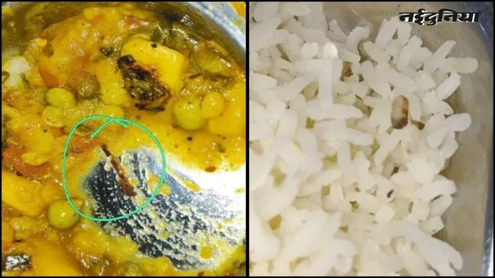 इंदौर में दूषित खाने से 20 से अधिक छात्राएं बीमार, लिवर तक पहुंचा संक्रमण, खाने में मिले कॉकरोच और सिगरेट के टुकड़े