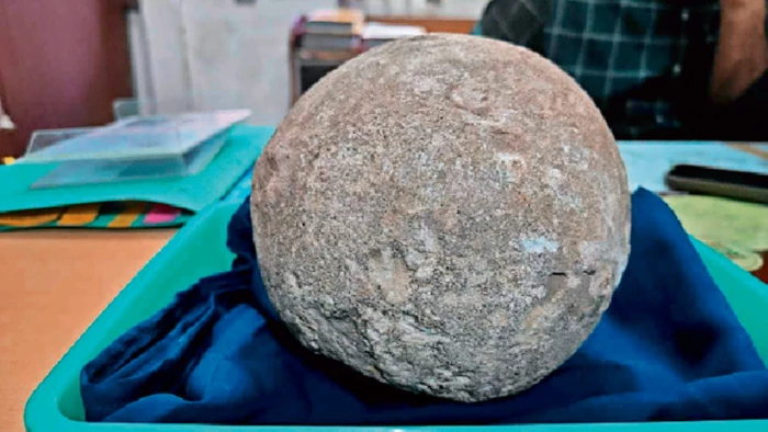 मध्य प्रदेश में गूंजती थी डायनासोरों की दहाड़, 6.5 करोड़ साल पुराना अंडा प्रदर्शित
