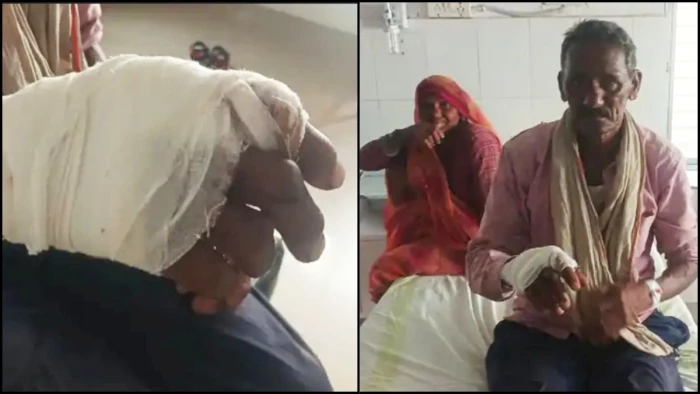 65 वर्षीय बुजुर्ग की बहादुरी, पन्ना में शौच के दौरान भालू ने किया अचानक हमला, 10 मिनट तक संघर्ष कर बचाई जान