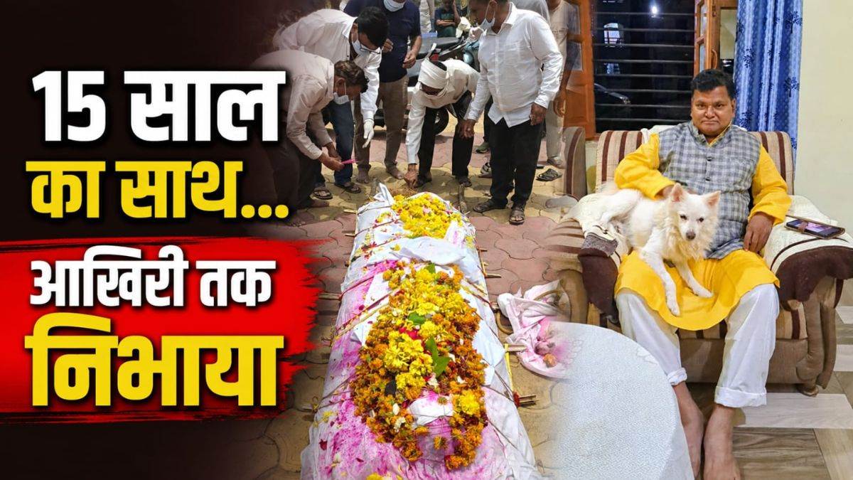 मालिक की अर्थी उठते ही पालतू कुत्ते डुग्गू ने भी तोड़ दिया दम, अंतिम यात्रा में छलक पड़े सबके आंसू, दोनों को एक साथ दी गई विदाई