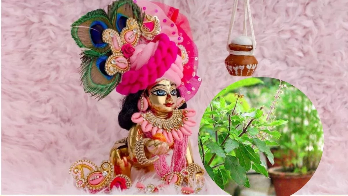 Janmashtami 2025: जन्माष्टमी पर तुलसी के इन उपायों से मिलेगा भगवान कृष्ण का आशीर्वाद, धन की होगी वर्षा