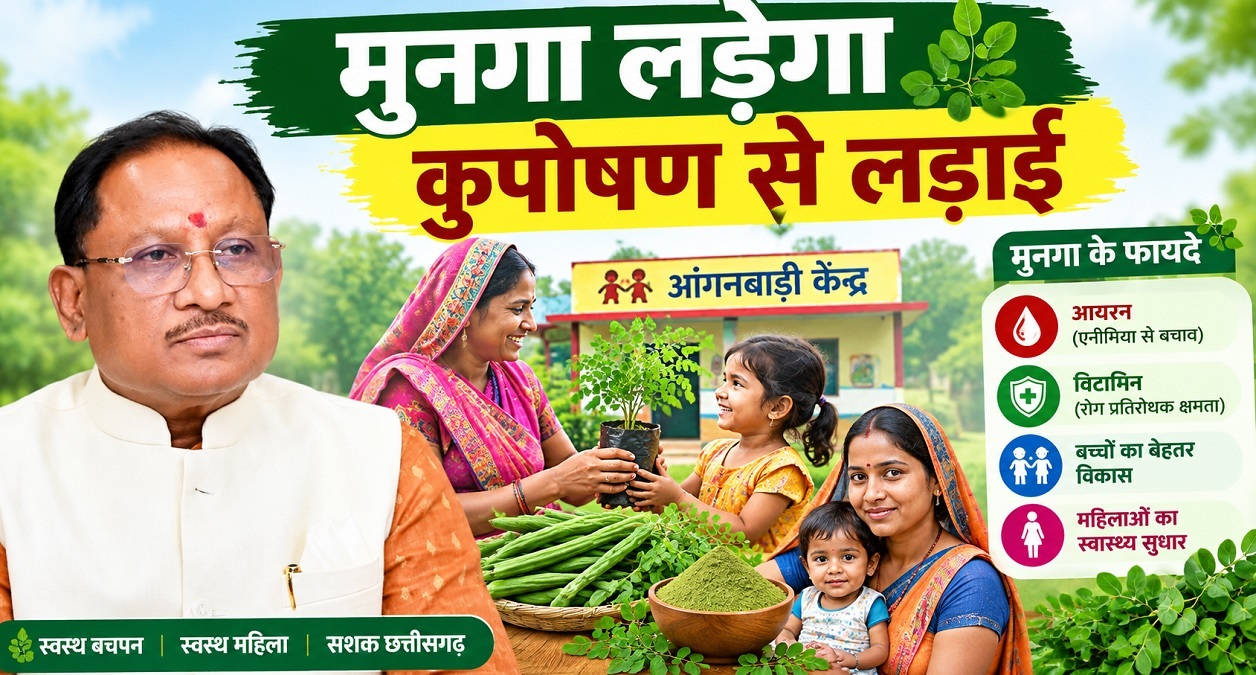 छत्तीसगढ़ में मुनगा बनेगा पोषण का हथियार: हर आंगनबाड़ी क्षेत्र में लगेंगे 15-15 पौधे, डैसबोर्ड से होगी निगरानी