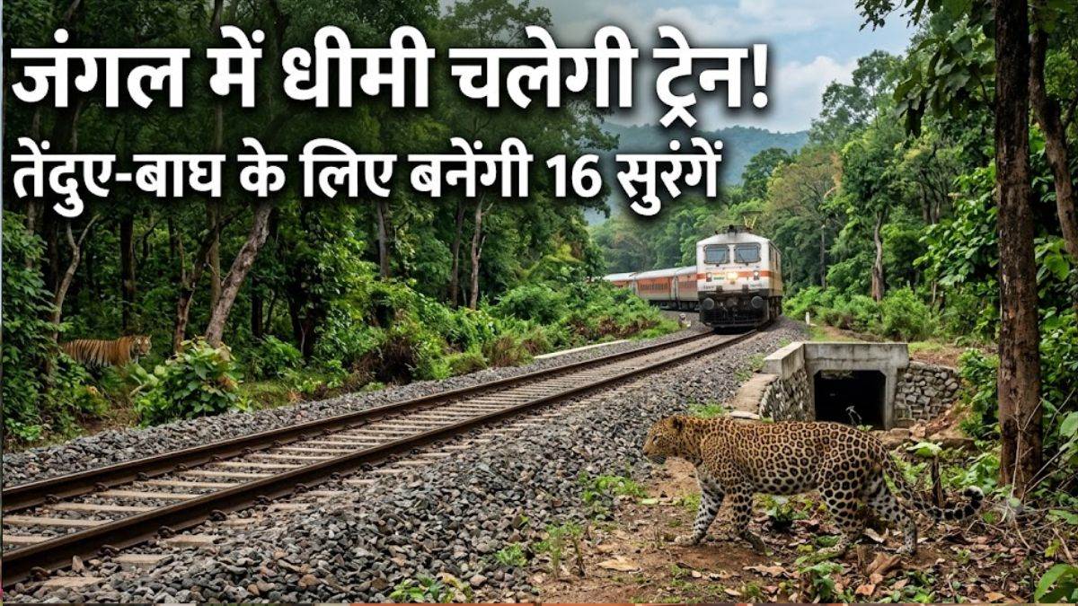 इंदौर-खंडवा रेल लाइन पर धीमी होगी ट्रेन, 20-30 किमी की रफ्तार; 16 सुरंगों और अंडरपास से सुरक्षित रहेंगे तेंदुए-बाघ