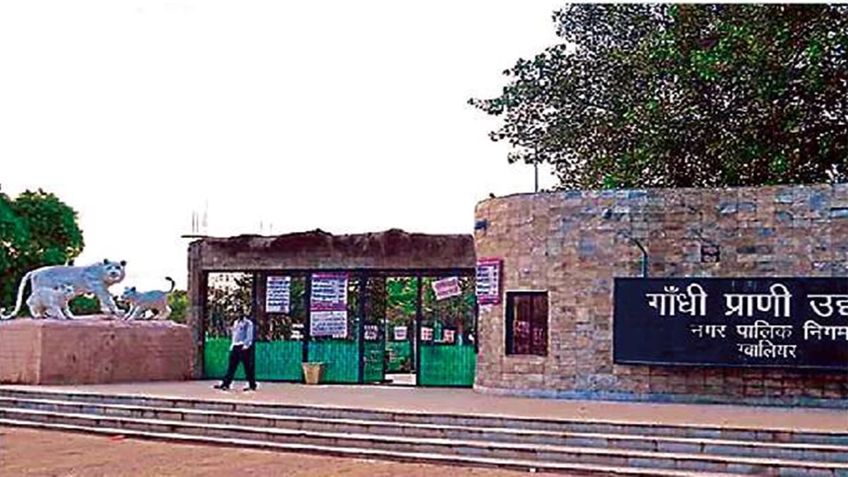 सभापति ने घड़ियाल, नेता प्रतिपक्ष ने अजगर और निगमायुक्त ने देसी मोर लिया गोद
