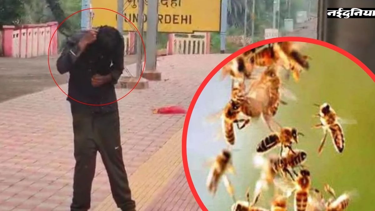 रेलवे स्टेशन पर बंदर ने छेड़ा छत्ता, तो मधुमक्खियों ने यात्रियों को डंक मारकर किया लाल; लकवाग्रस्त यात्री गंभीर घायल