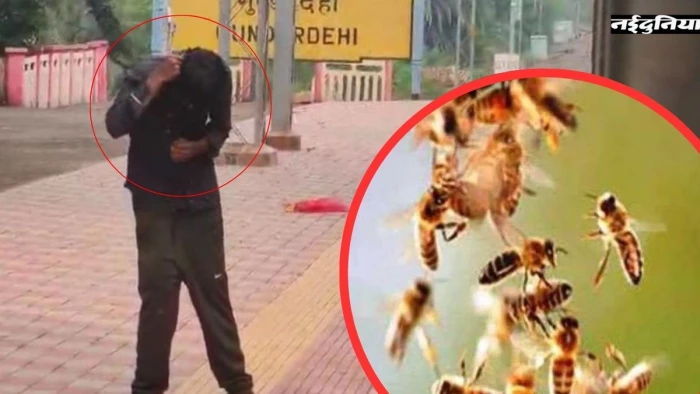 रेलवे स्टेशन पर बंदर ने छेड़ा छत्ता, तो मधुमक्खियों ने यात्रियों को डंक मारकर किया लाल; लकवाग्रस्त यात्री गंभीर घायल
