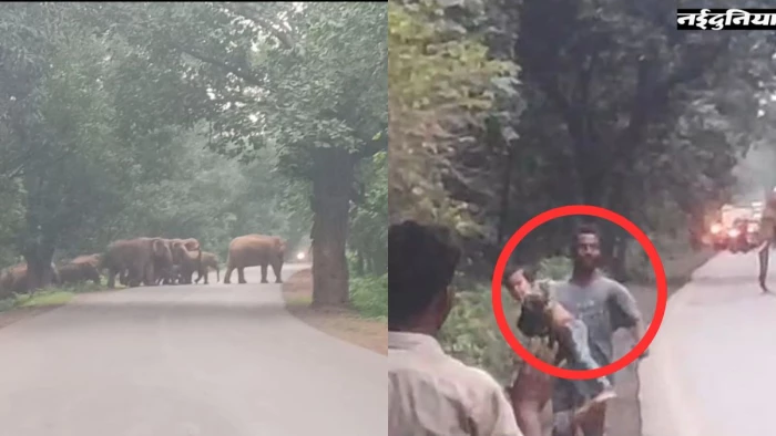 हाथियों के हमले से बचने के लिए बच्चे को गोद में लेकर भागा पिता, धरमजयगढ़ में 49 दंतैलों ने मचाया तांडव
