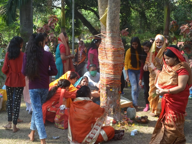 Amla Navami News : आंवला नवमी का पर्व धूमधाम से मनाया गया - Amla Navami celebrated with great pomp