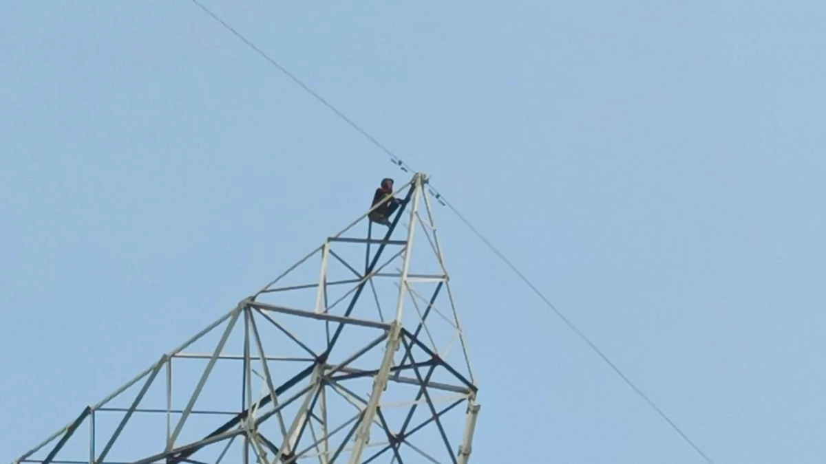 'लड़की को बुलाओ नहीं तो मैं कूद जाऊंगा', वीरू की तर्ज पर हाईटेंशन टावर पर चढ़ा युवक, गांव में मचा हड़कंप