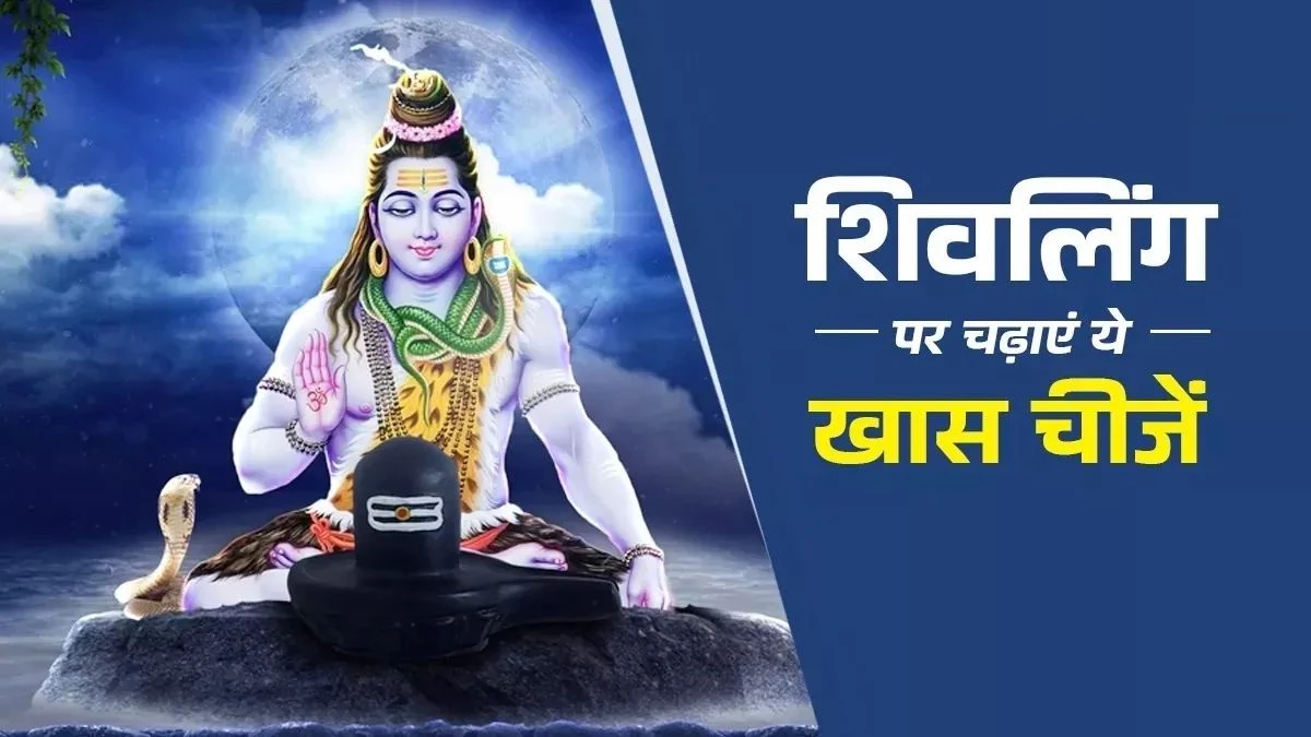 Margashirsha Amavasya 2025: मार्गशीर्ष अमावस्या शिवलिंग पर चढ़ाएं ये पांच वस्तुएं, मिलेगा सुख-समृद्धि का वरदान
