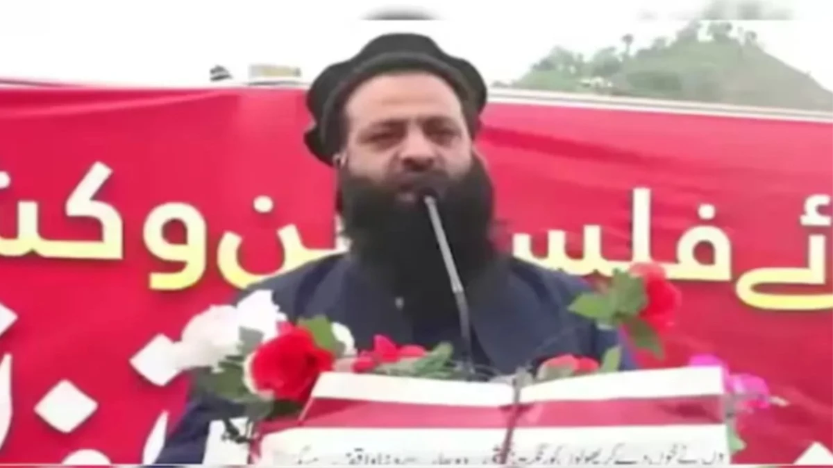 'हिंदुओं का गला काटने से मिलेगी आजादी', कश्मीर मुद्दे पर लश्कर आतंकी ने उगला जहर, Video Viral