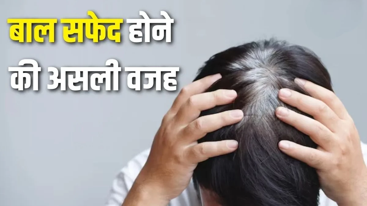 25 की उम्र में सफेद बालों से परेशान? उम्र नहीं, आपकी थाली में छिपी है इसकी असली वजह