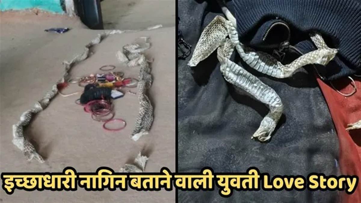 UP की 'इच्छाधारी नागिन' का फिल्मी ड्रामा, बिस्तर पर केंचुली छोड़ प्रेमी संग भागी; बोली- कोई परेशान न करें