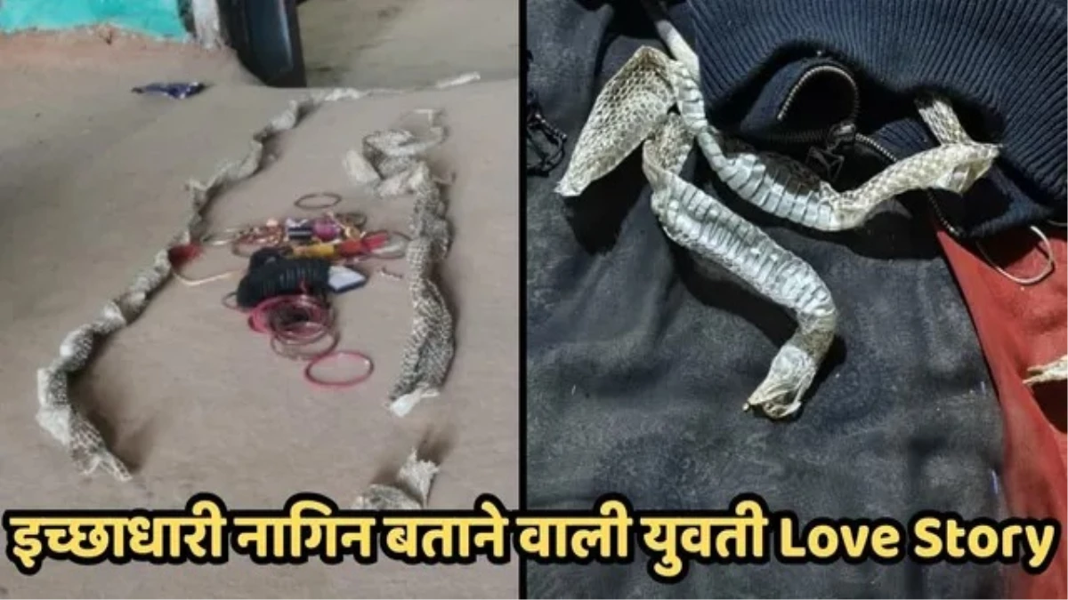 UP की 'इच्छाधारी नागिन' का फिल्मी ड्रामा, बिस्तर पर केंचुली छोड़ प्रेमी संग भागी; बोली- कोई परेशान न करें