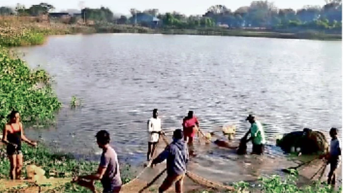 बिलासपुर के तालाब में मछुआरों को लगा बड़ी मछली फंस गई, जाल बाहर खींचा तो मगरमच्छ देखकर उड़े होश
