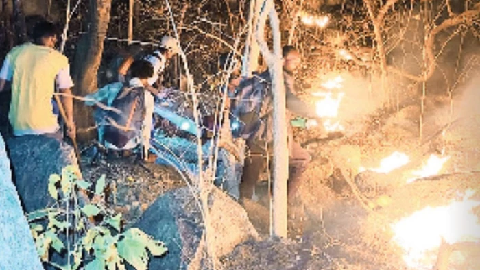 कोंडागांव-कांकेर के जंगल में लगी आग, वन विभाग में हड़कंप, धमतरी में आग से चना, गेहूं और सरसों की फसल जलकर राख