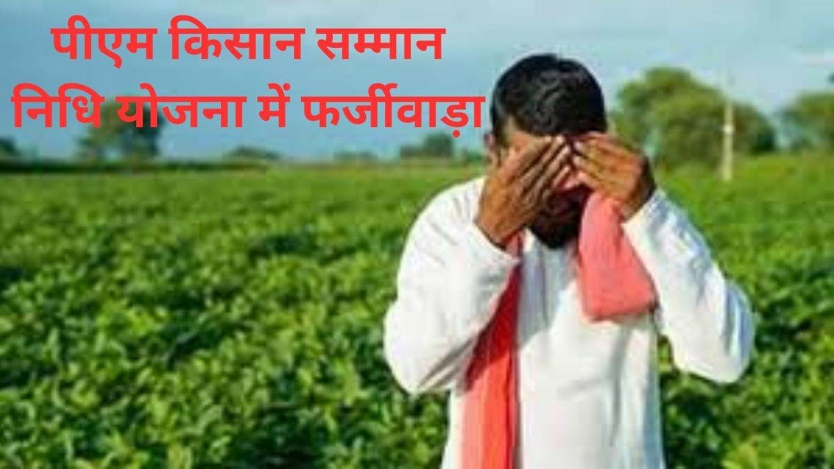 रायपुर में पीएम किसान सम्मान निधि योजना में फर्जीवाड़ा, 2,163 मृतकों के खाते में पहुंचे पैसे, 1,310 लाभार्थी अपात्र मिले