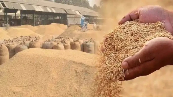 गेहूं के ड्रम में रखा था कीटनाशक, उज्‍जैन में गैस से दो सगी बहनों की मौत