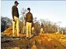 Gwalior Forest news: The Forest Department team ran and beaten, the uniform tore