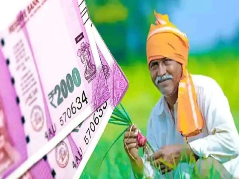 PM Kisan Yojana: सरकार 31 मई तक जारी करेगी 11वीं किस्त, चेक करें डिटेल्स