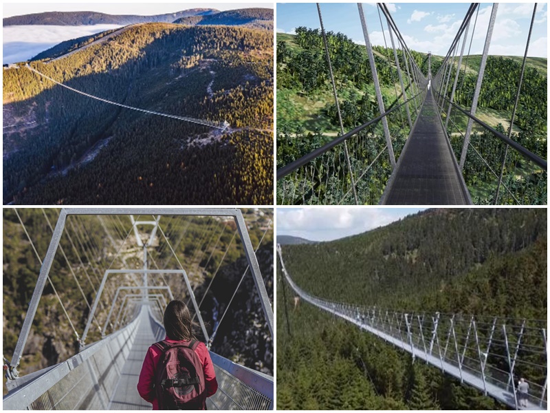 Sky Bridge 721: दुनिया का सबसे लंबा सस्पेंशन फुटब्रिज चेक गणराज्य में खुला  देखें रोमाचंक तस्वीरें - Sky Bridge 721: Worlds longest suspension  footbridge opens in Czech Republic see ...