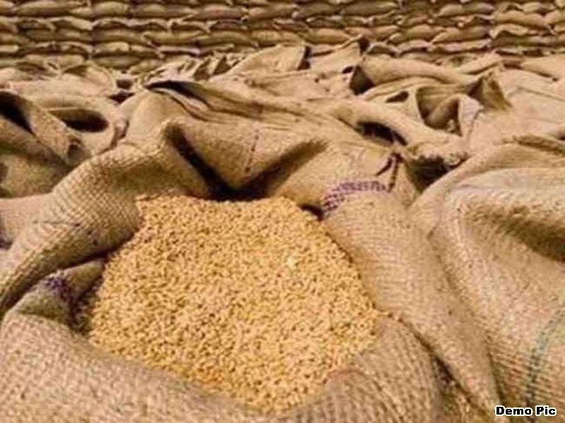 Wheat Prices Madhya Pradesh: गेहूं के निर्यात पर पाबंदी का आदेश, निर्यातकों ने खरीदी रोकी