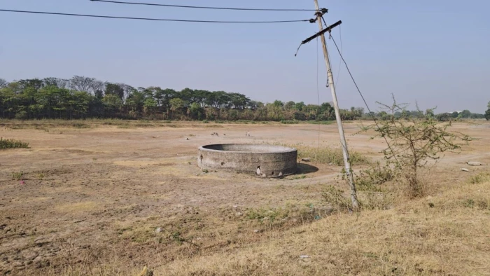 इंदौर के छोटा बिलावली तालाब पर प्रशासन की बेरुखी, अतिक्रमण और लापरवाही ने छीना पानी इंदौर के छोटा बिलावली तालाब पर प्रशासन की बेरुखी, अतिक्रमण और लापरवाही ने छीना पानी