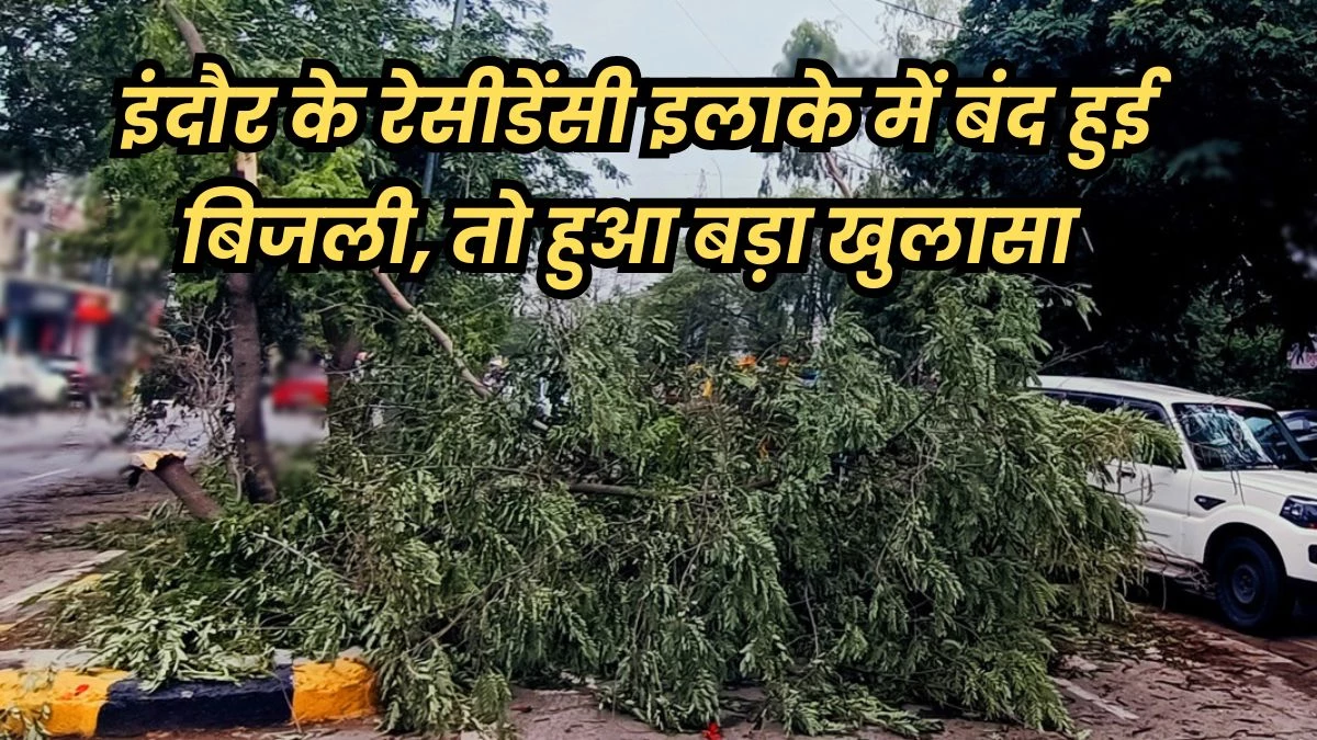 Indore News: बंगले की बिजली बंद ना हो इसलिए दो साल से मेंटेंनेंस नहीं करने दे रहे थे ऑफिसर, आंधी में गिरे पेड़ तो बत्ती हुई गुल