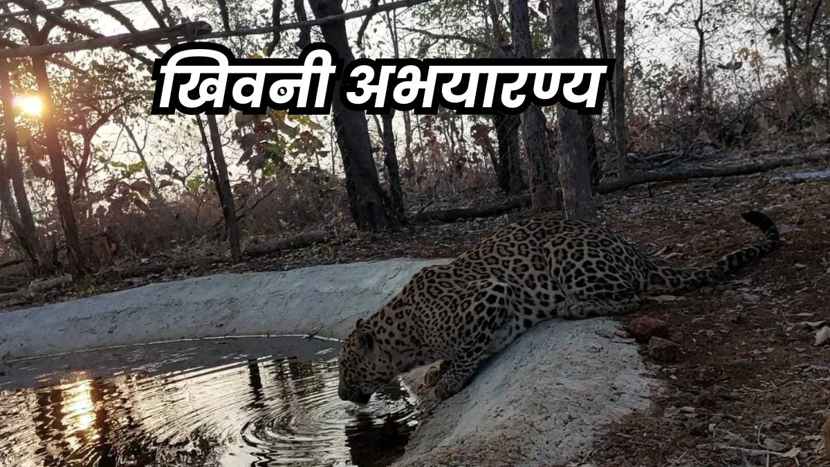 Tourist Place Near Indore: नेचर से है प्यार और ट्रेवलिंग का शौक... तो चले आईए इंदौर से 120 किमी दूर खिवनी