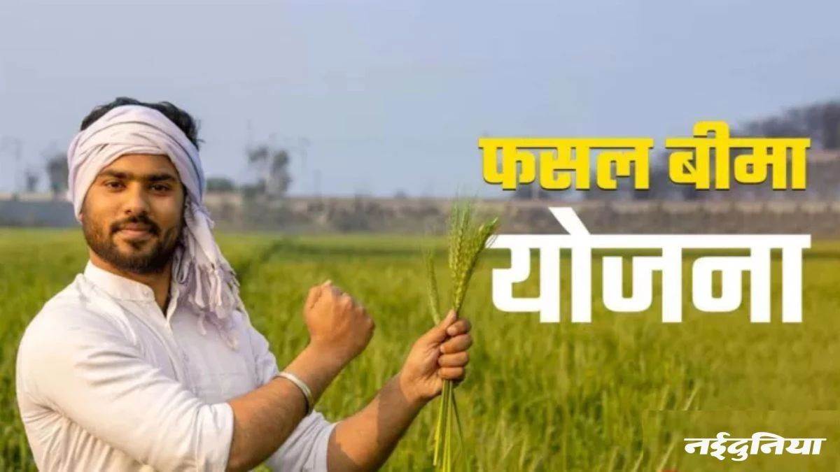 MP News: किसान 31 जुलाई तक करा सकते हैं फसल बीमा, बस इन बातों का रखें ध्यान