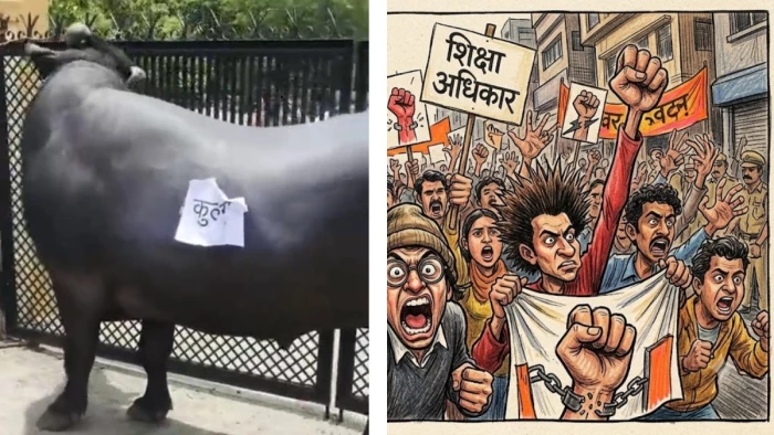 कॉलेज के गेट के बाहर कुलपति लिख खड़ा किया भैंसा, परीक्षा नहीं होने पर देवास में एनएसयूआई ने किया विरोध