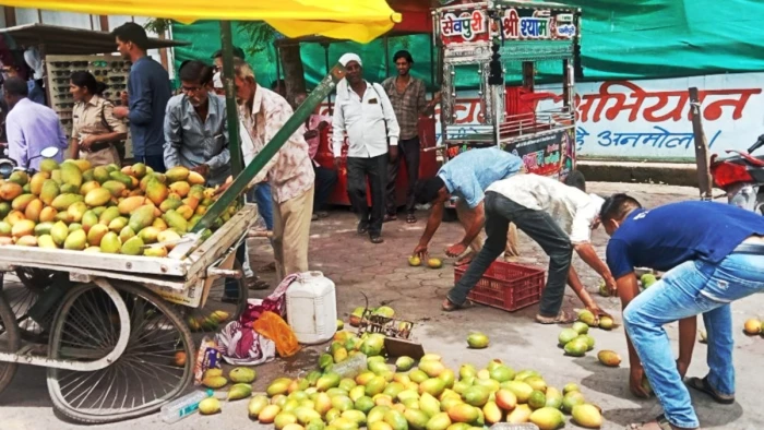 खरगोन में कुत्ते के काटने के बाद सांड हुआ बेकाबू, बाजार में चार घंटे मचाया उत्पात, रेबीज की आशंका