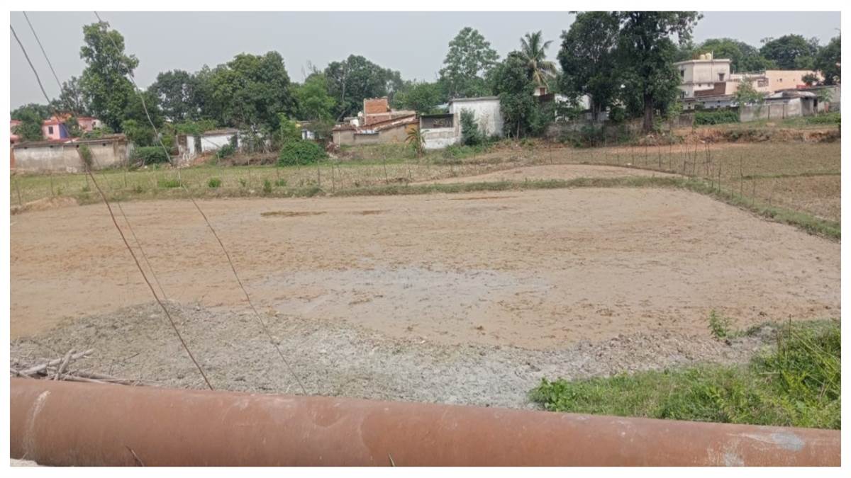 मानसून के इंतजार में कोरबा: लक्ष्य के मुकाबले रोपाई की धीमी प्रगति, कृषि विभाग की फसल विविधीकरण अपनाने की सलाह