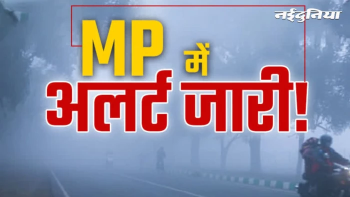 MP Weather 15 July: रीवा से लेकर सीधी तक इन जिलों में होगी बारिश, अगले 24 घंटे के लिए मौसम विभाग का बड़ा अपडेट