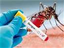 Dengue in Indore : मौसम में बदलाव के साथ इंदौर में पैर पसारने लगा डेंगू और मलेरिया, लापरवाही न बरतें