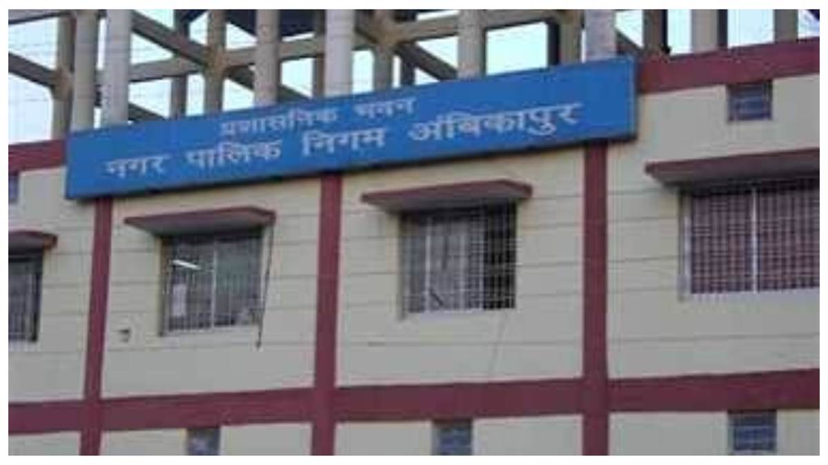 अंबिकापुर नगर निगम का बड़ा दावा: ग्रामीण क्षेत्रों में नहीं छोड़े जा रहे मवेशी, घुटरापारा गोठान में 181 बेसहारा मवेशी संरक्षित
