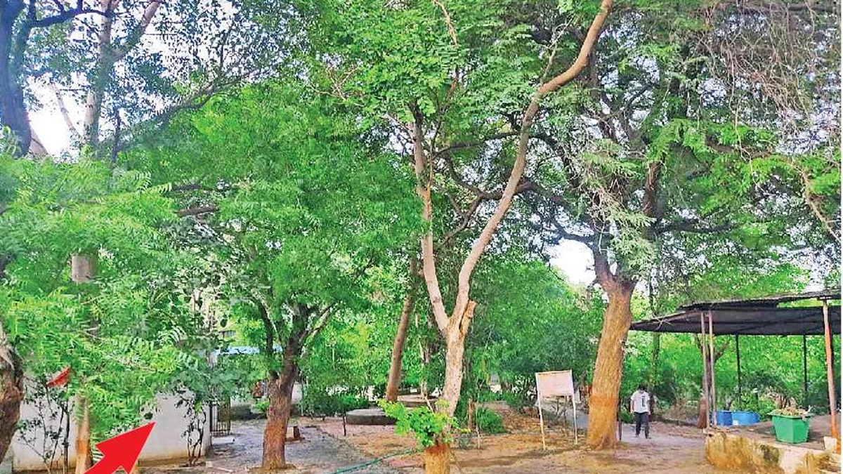 पितरों की स्मृति का स्थल हनुमान टेकरी
