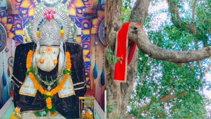 'दायीं सूंड' वाले दुर्लभ गणेशजी का अलौकिक धाम: 250 साल पुराना इतिहास और वटवृक्ष पर उभरी स्वयं भू-आकृति