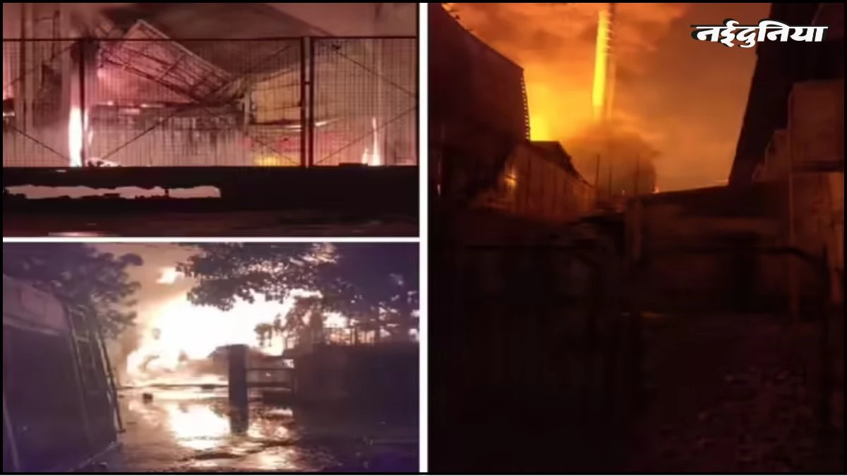 Indore की फैक्ट्री में भीषण आग ने खोली प्रशासन की पोल, बुझाने के संसाधन पड़े कम, रातभर जला इंडस्ट्रियल एरिया