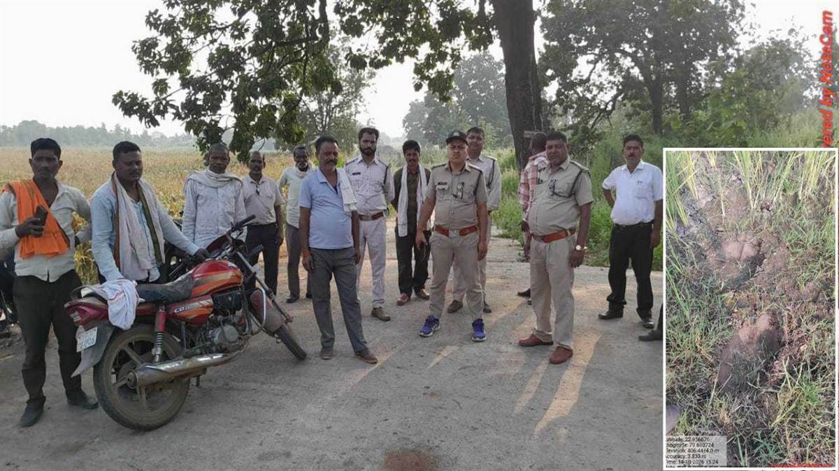 जबलपुर-नरसिंहपुर की सीमा में बसे जमुनिया कटोरी में हाथी की दस्तक, कुंडा तालाब के पास मिले पदचिन्ह