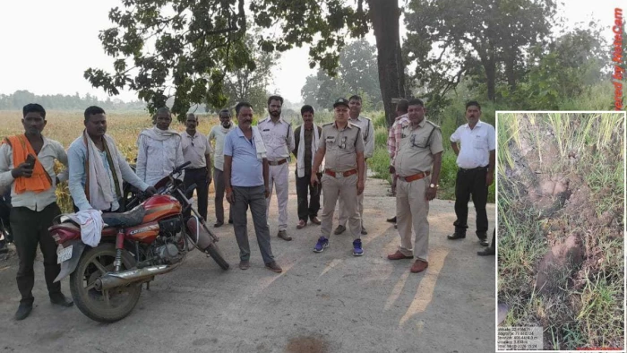 जबलपुर-नरसिंहपुर की सीमा में बसे जमुनिया कटोरी में हाथी की दस्तक, कुंडा तालाब के पास मिले पदचिन्ह