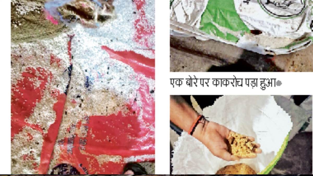 ग्वालियर मिड-डे मील की खौफनाक सच्चाई, चावल में चूहे का मल और किचन में मिला...