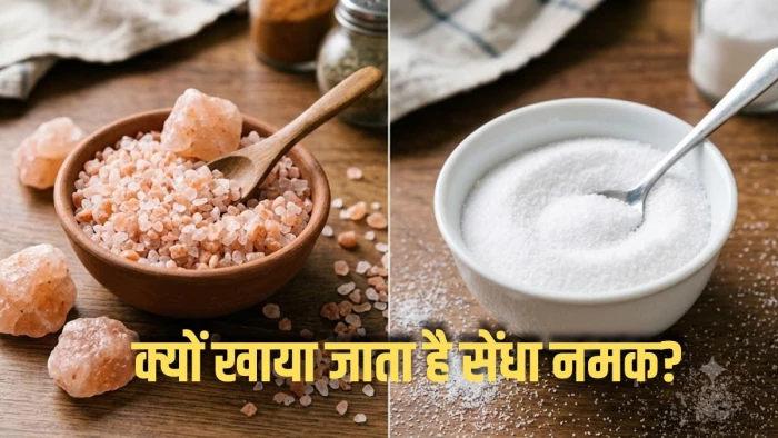 क्या सच में सेंधा नमक से डिटॉक्स होता है शरीर? जानिए व्रत में नॉर्मल नमक छोड़ 'रॉक सॉल्ट' क्यों खाते हैं लोग