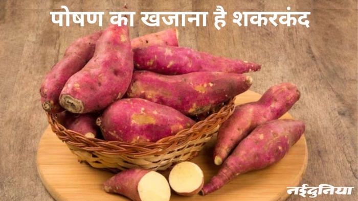 रोस्ट करें, उबालें या बना लें सब्जी… शकरकंद से शरीर को मिलेंगे इतने सारे गजब के फायदे