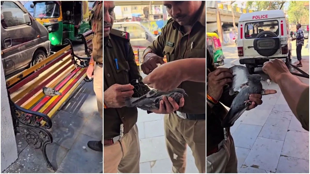 इंदौर पुलिस ने बचाई चाइना डोर में फंसे कबूतर की जान, वीडियो हो रहा वायरल